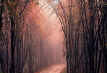 征途国际官网：欧会-切尔西客场2-1力克哥本哈根 詹姆斯+恩佐破门.