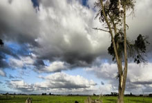 征途国际官网：欧会-切尔西客场2-1力克哥本哈根 詹姆斯+恩佐破门.